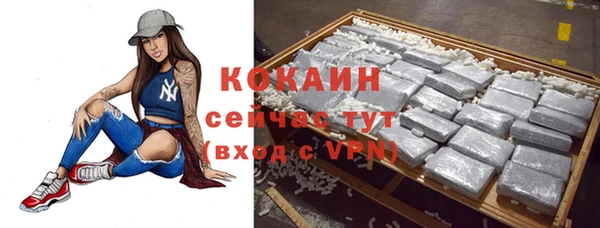 трава Гусев