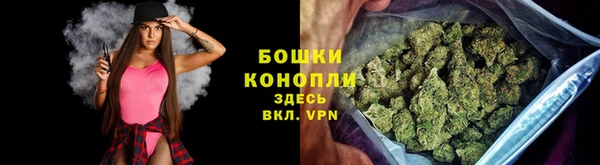 трава Гусев