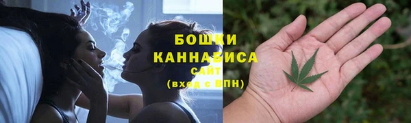 трава Гусев