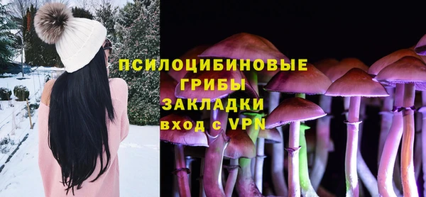 трава Гусев