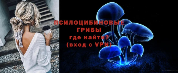экстази Гусиноозёрск
