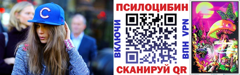 Галлюциногенные грибы Psilocybe  Купить где  Кондопога 